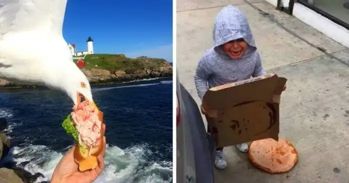 20 фотографий, которые можно смело выставлять в музее провалов