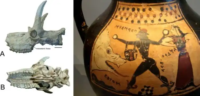 Драконы моря - когда реальность ужасней мифов