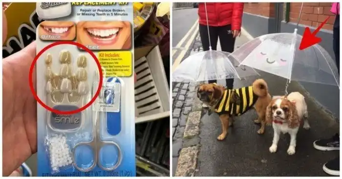 15 бестолковых, но забавных вещей, созданных людьми