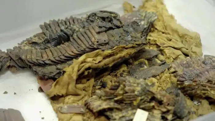 Почему в армиях древних цивилизаций не прижились доспехи