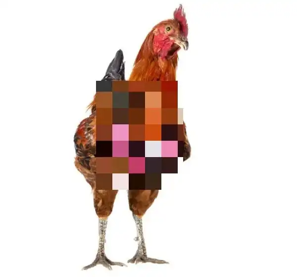 Интернет не перестает удивлять