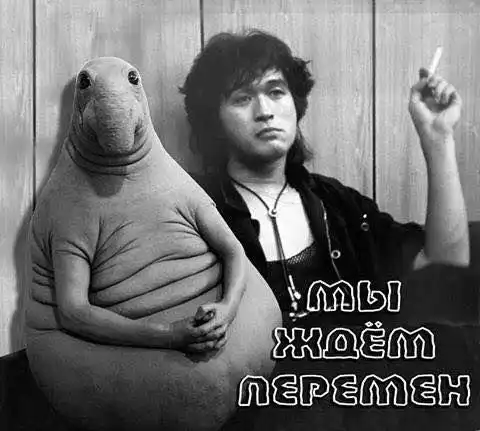 Что изменится в России с 1-го июля