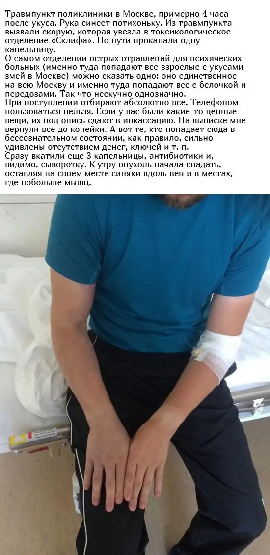 Укус гадюки из первых уст