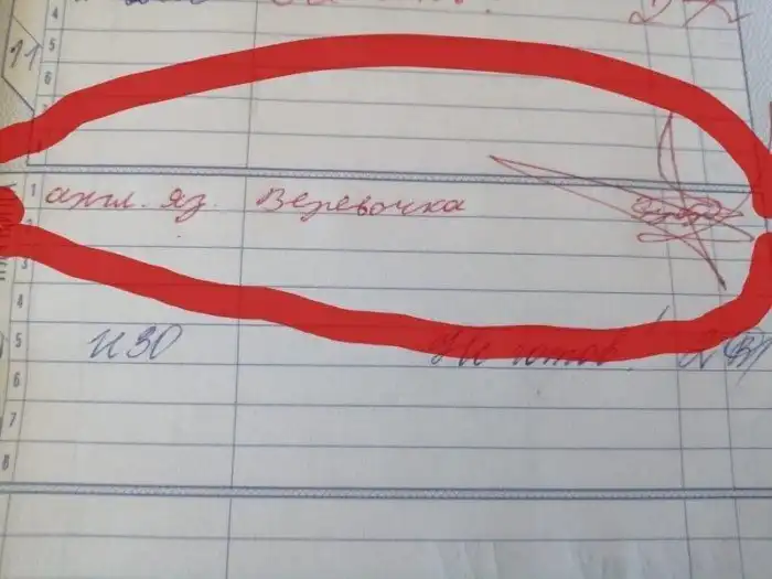 15 убойных замечаний в дневниках, после которых родителей вызывают в школу