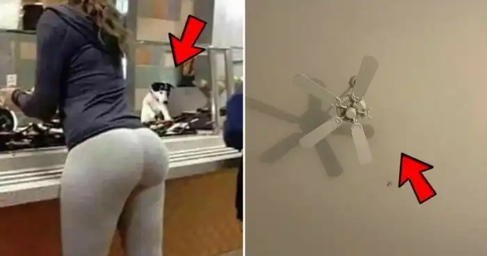 Глаза и мозг не всегда хотят работать в команде