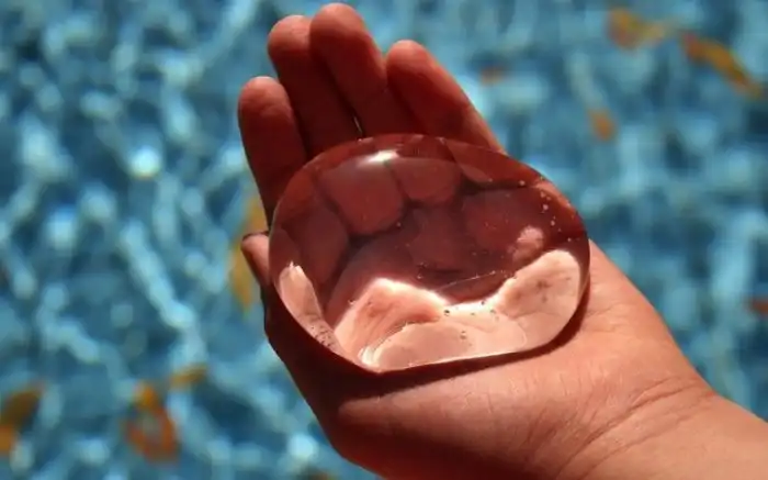 Еда будущего: чем мы будем питаться уже через 20 лет?