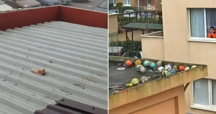 На крыше дома твоего... Подсмотрено