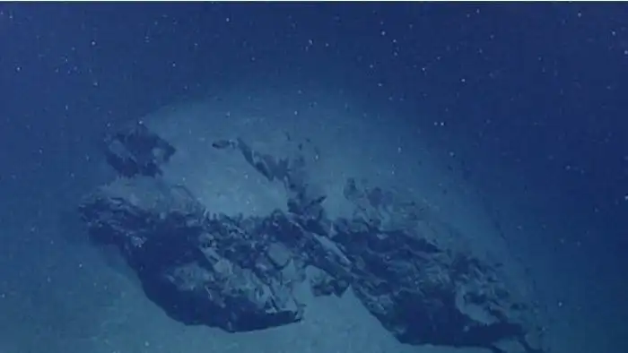 Глубоководный снег: Пир из трупов и причина гигантских существ бездны