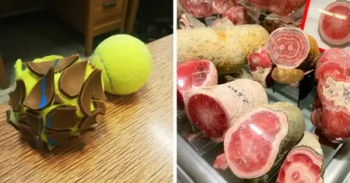 30 несъедобных, но аппетитно выглядящих вещей