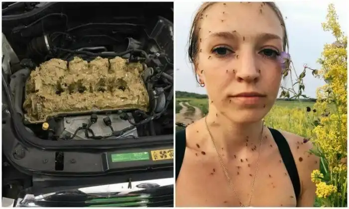 У вас был неудачный день? Поверьте, у этих 30 людей все куда хуже