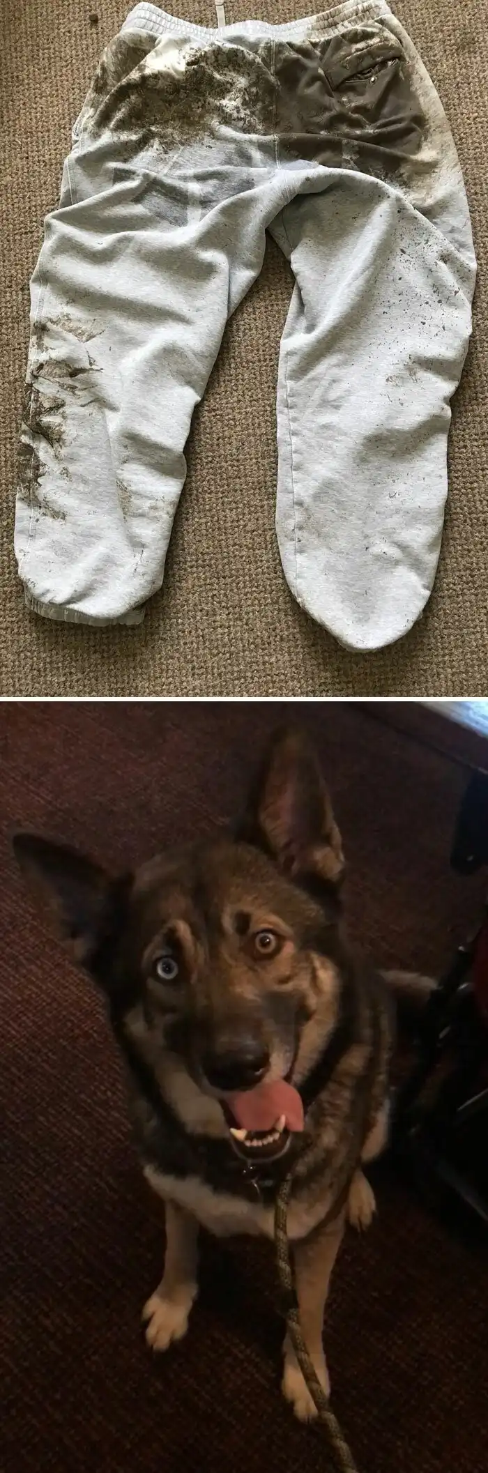 У вас был неудачный день? Поверьте, у этих 30 людей все куда хуже