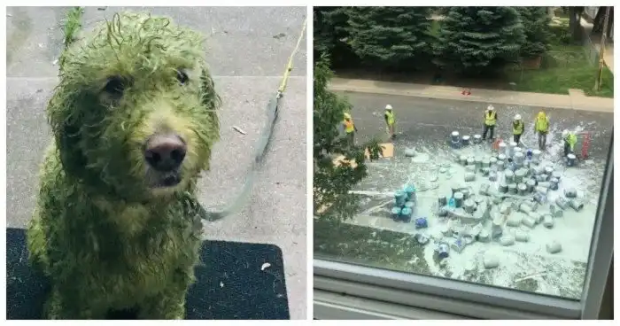 17 фотографий от людей, к которым удача повернулась не той стороной