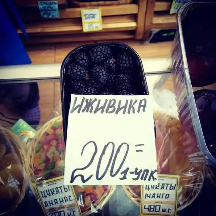 14 доказательств того, что человеческая глупость неискоренима