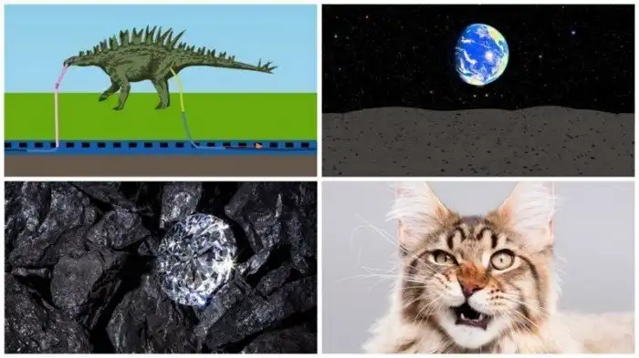 20 малоизвестных, но немаловажных фактов о нашем мире