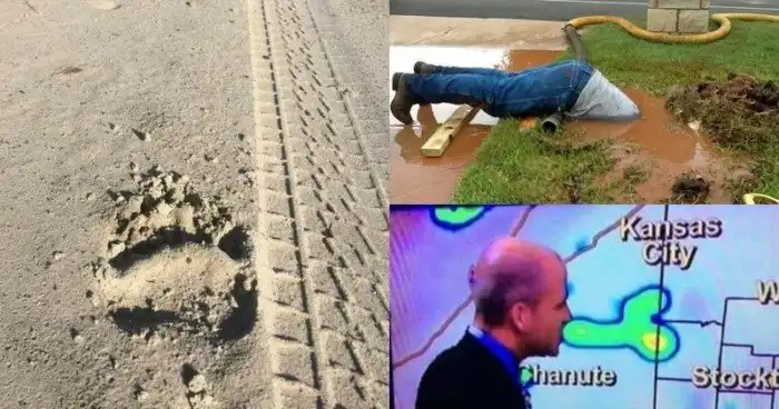 20 нескучных ситуаций, в которые люди попали на своей работе