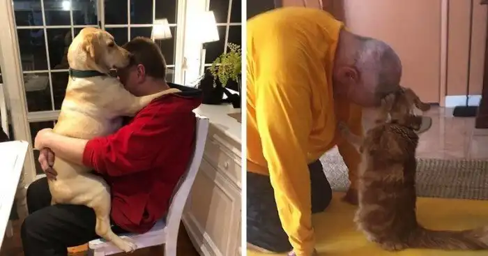 17 отцов, которые когда-то сказали: «Никаких животных в доме»