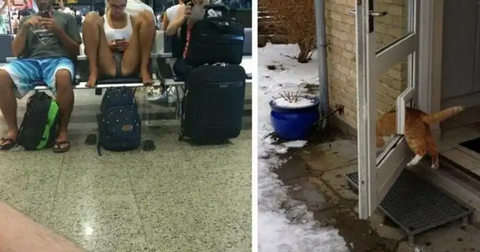 Привычка — дело наживное