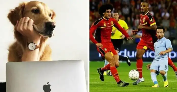 20 объектов, которые вольно или по принуждению стали жертвами ракурса и перспективы