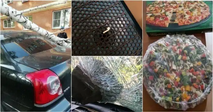 20 случаев везения, которые делают нашу жизнь лучше