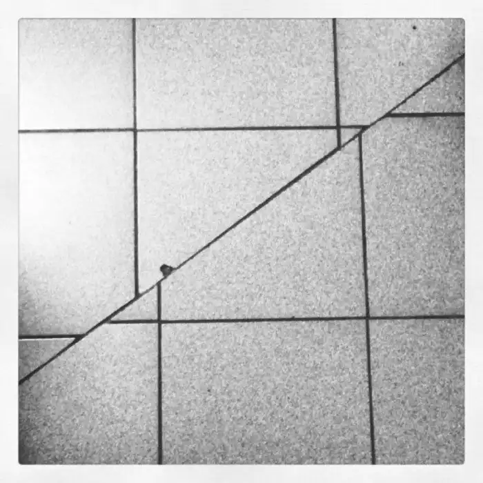 Безумные фотографии, способные вывести из себя самых уравновешенных