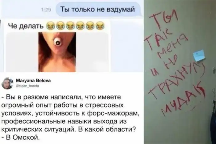 15 доказательств того, что для женской логики и интеллекта нужно ввести отдельные определения