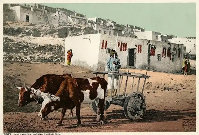 Повседневная жизнь коренных народов США в почтовых открытках XX века