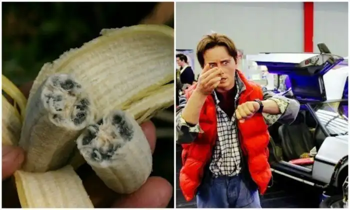 25 любопытных фактов обо всем на свете - забирайте в копилку знаний