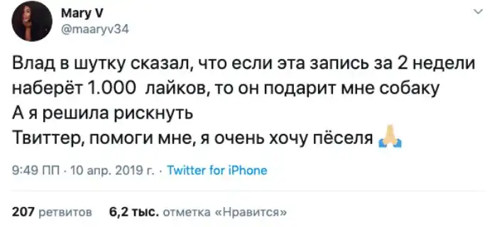 "Минет за лайки": 15 фееричных примеров того, на что готовы пользователи