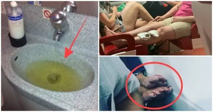 Ни стыда, ни совести: 20 омерзительных пассажиров, наглость которых зашкаливает