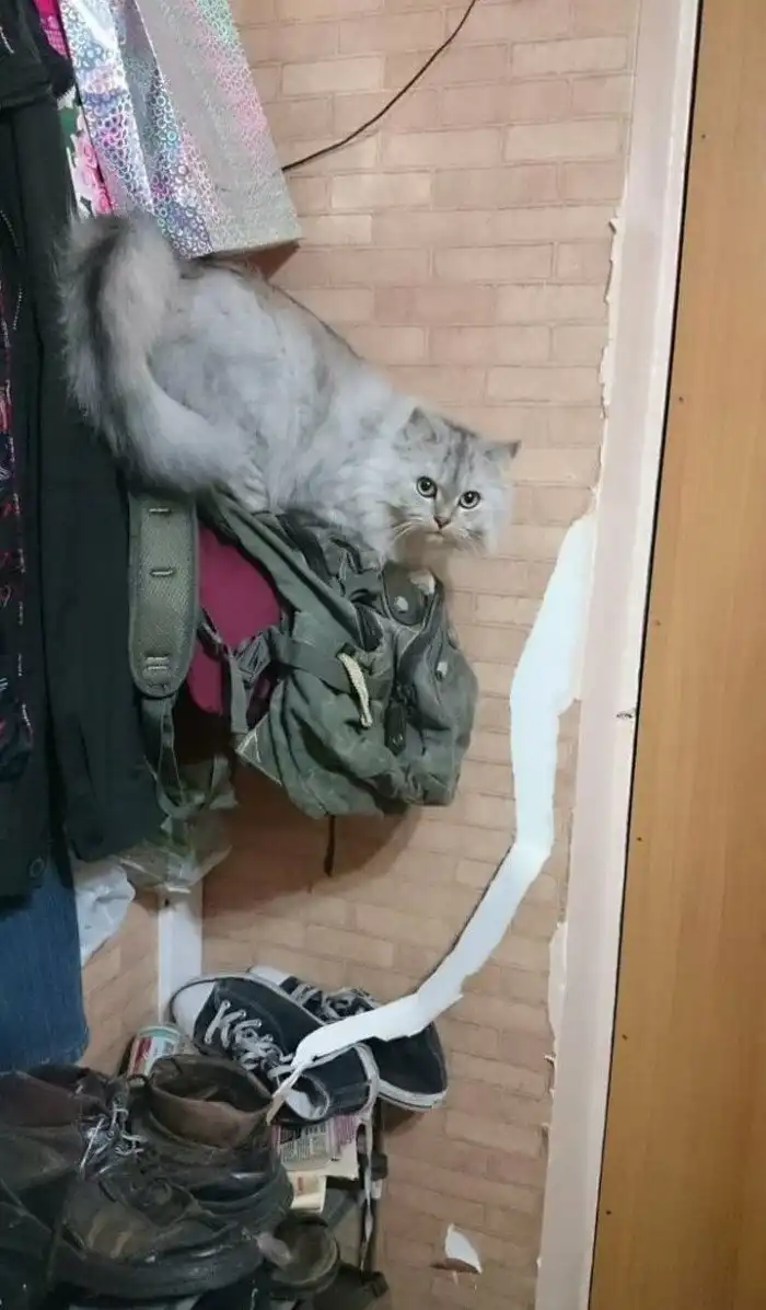 15 персонажей, которых подловили в самый подходящий момент