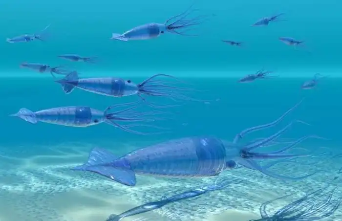 Тайны Мирового океана, разгаданные лишь недавно