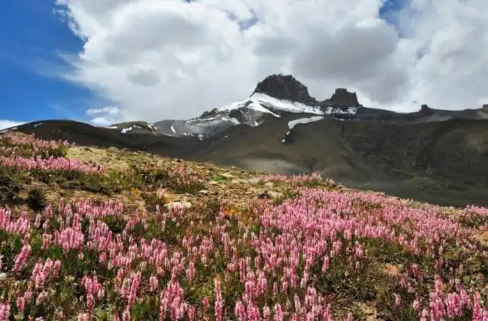20 мест, в которых миром правит цвет