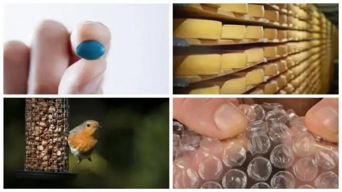 15 абсолютно правдивых фактов, в которые очень трудно поверить