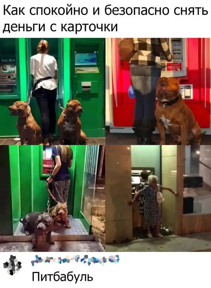 "Комменты - улет!": 25 убойных постов с достойными комментариями