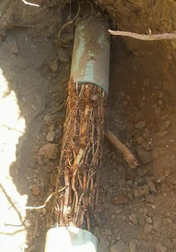 Нелепые случаи из жизни сантехника