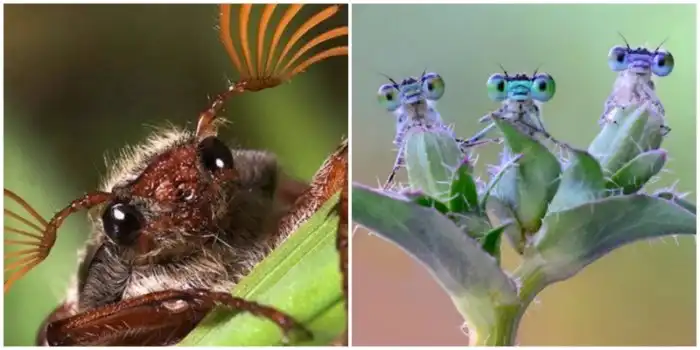 Загляните в глаза тех, кто живет с вами под одной крышей