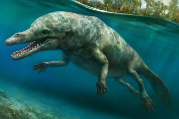 Когда киты ходили по земле