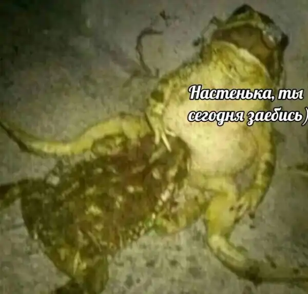 Фото приколы на тему "Фрик-Зоны" из социальной сети