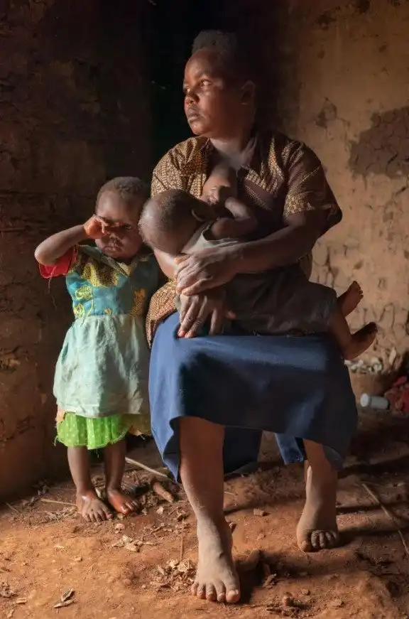 Максимально близко к восстанию обезьян: в Уганде шимпанзе объявили войну людям