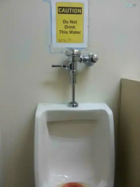 15 редких балбесов, которые делают феерические глупости