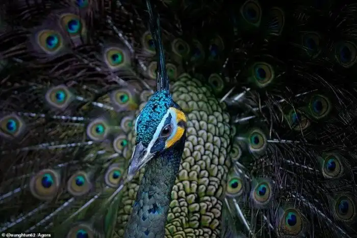 Фотографы смотрят миру в глаза