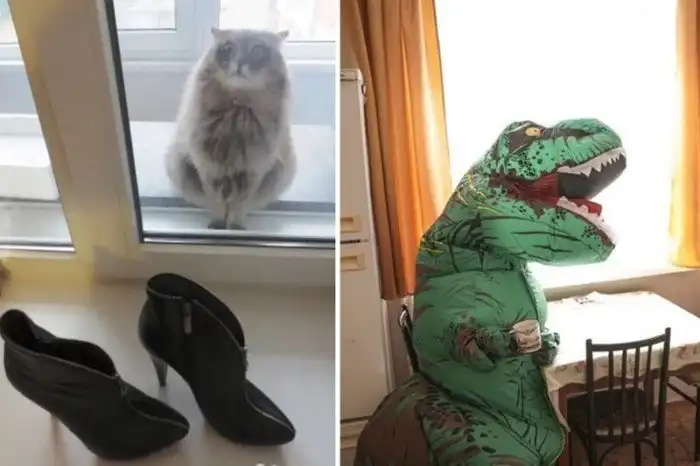 10 креативных и неожиданных объявлений с «Авито»