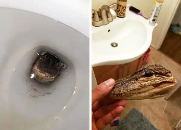 Ребята, которые жить не могут без розыгрышей