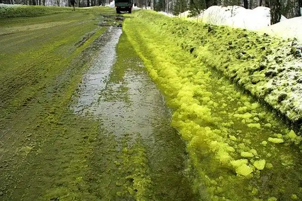 Ничего необычного, просто с зеленый снежок в Свердловской области