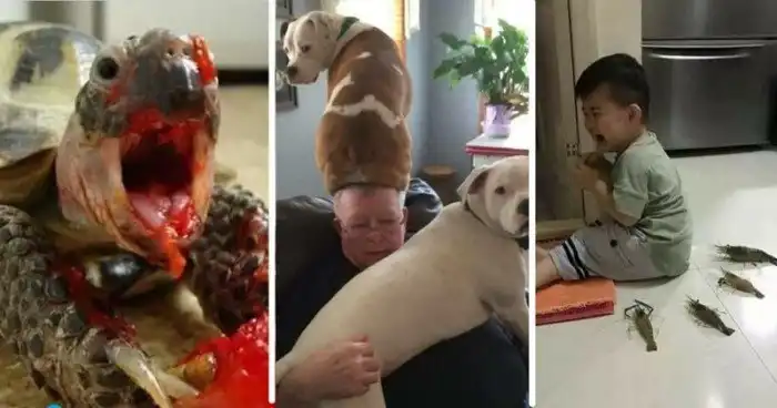 25 фотофактов: кто главный на этой планете