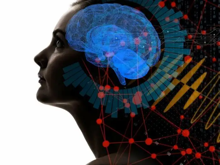 Как повысить свой IQ, возможно ли это вообще?