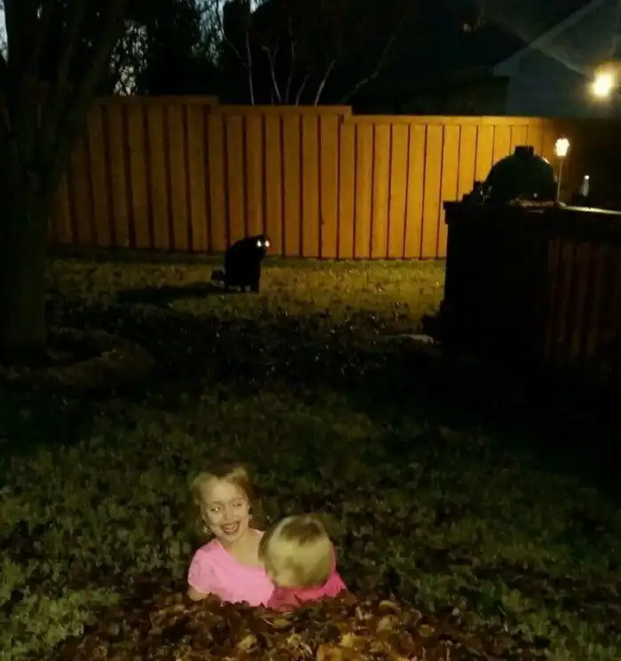 15 угарных снимков, на которых задний план - просто бомба