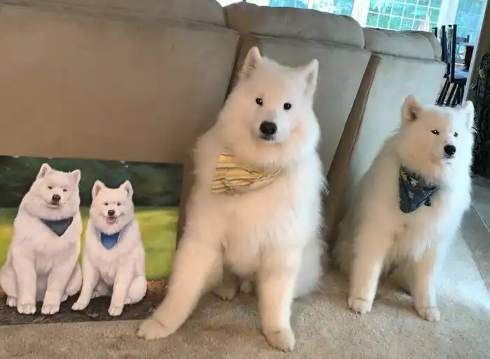 Художница пишет портреты домашних любимцев, и вот несколько готовых работ рядом с "моделями"