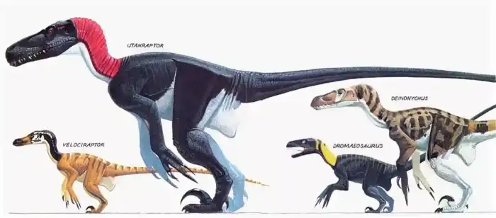 Ютараптор: Дворовый беспредельщик с тесаками вместо когтей
