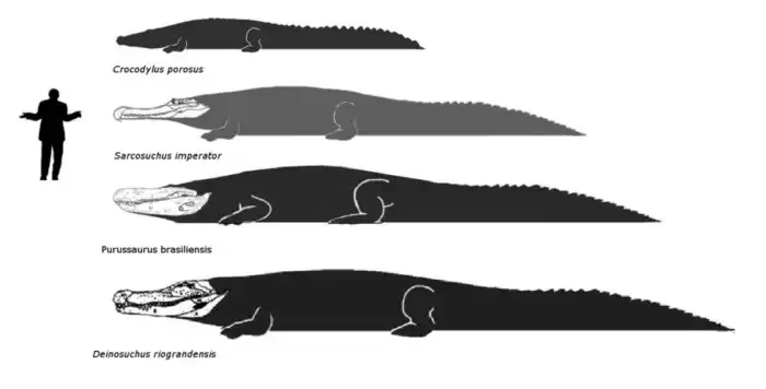 Дейнозух: Крокодил размером с трёхэтажный дом веками терроризировал американскую фауну